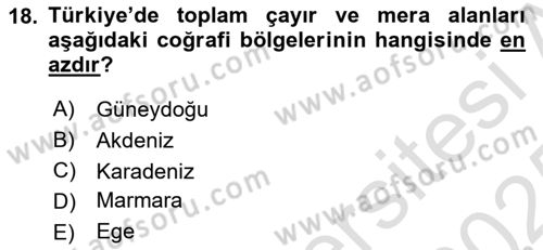 Tarla Bitkileri Dersi 2024 - 2025 Yılı Yaz Okulu Sınav Soruları 18. Soru