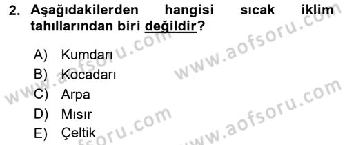 Tarla Bitkileri Dersi 2024 - 2025 Yılı Yaz Okulu Sınav Soruları 2. Soru