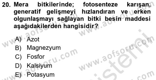 Tarla Bitkileri Dersi 2024 - 2025 Yılı Yaz Okulu Sınav Soruları 20. Soru