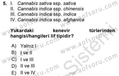 Tarla Bitkileri Dersi 2024 - 2025 Yılı Yaz Okulu Sınav Soruları 5. Soru