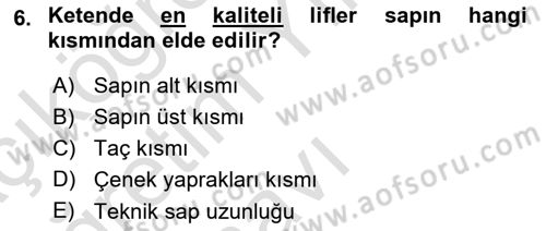 Tarla Bitkileri Dersi 2024 - 2025 Yılı Yaz Okulu Sınav Soruları 6. Soru