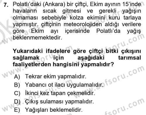 Tarla Bitkileri Dersi 2024 - 2025 Yılı Yaz Okulu Sınav Soruları 7. Soru