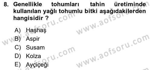 Tarla Bitkileri Dersi 2024 - 2025 Yılı Yaz Okulu Sınav Soruları 8. Soru