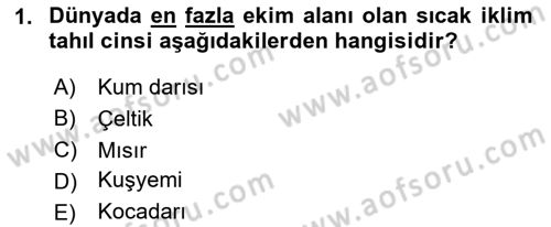 Tarla Bitkileri Dersi 2025 - 2026 Yılı (Vize) Ara Sınav Soruları 1. Soru