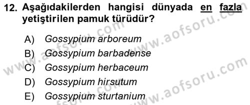 Tarla Bitkileri Dersi 2025 - 2026 Yılı (Vize) Ara Sınav Soruları 12. Soru
