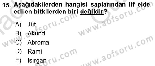 Tarla Bitkileri Dersi 2025 - 2026 Yılı (Vize) Ara Sınav Soruları 15. Soru