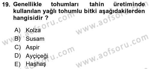 Tarla Bitkileri Dersi 2025 - 2026 Yılı (Vize) Ara Sınav Soruları 19. Soru