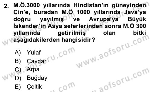 Tarla Bitkileri Dersi 2025 - 2026 Yılı (Vize) Ara Sınav Soruları 2. Soru