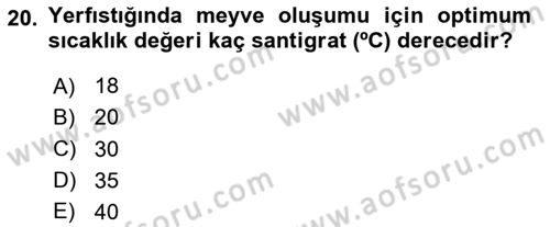 Tarla Bitkileri Dersi 2025 - 2026 Yılı (Vize) Ara Sınav Soruları 20. Soru
