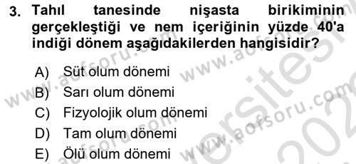 Tarla Bitkileri Dersi 2025 - 2026 Yılı (Vize) Ara Sınav Soruları 3. Soru