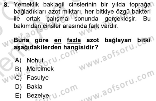 Tarla Bitkileri Dersi 2025 - 2026 Yılı (Vize) Ara Sınav Soruları 8. Soru