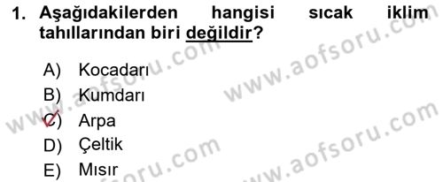 Tarla Bitkileri Dersi 2025 - 2026 Yılı (Final) Dönem Sonu Sınav Soruları 1. Soru