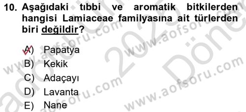 Tarla Bitkileri Dersi 2025 - 2026 Yılı (Final) Dönem Sonu Sınav Soruları 10. Soru