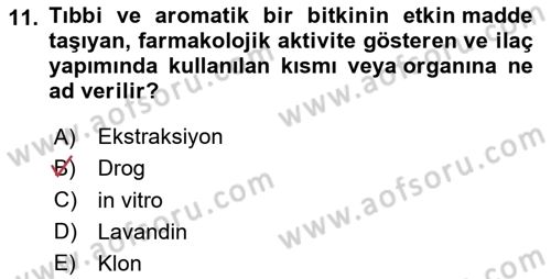 Tarla Bitkileri Dersi 2025 - 2026 Yılı (Final) Dönem Sonu Sınav Soruları 11. Soru