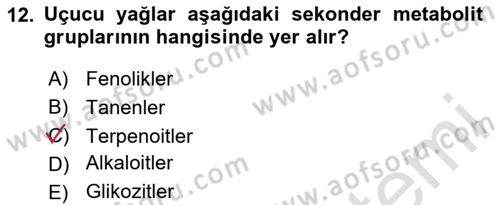 Tarla Bitkileri Dersi 2025 - 2026 Yılı (Final) Dönem Sonu Sınav Soruları 12. Soru