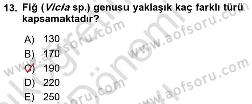 Tarla Bitkileri Dersi 2025 - 2026 Yılı (Final) Dönem Sonu Sınav Soruları 13. Soru
