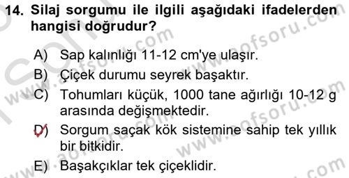 Tarla Bitkileri Dersi 2025 - 2026 Yılı (Final) Dönem Sonu Sınav Soruları 14. Soru