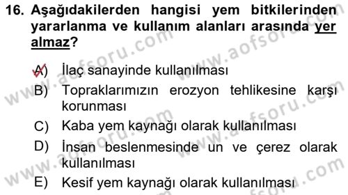 Tarla Bitkileri Dersi 2025 - 2026 Yılı (Final) Dönem Sonu Sınav Soruları 16. Soru