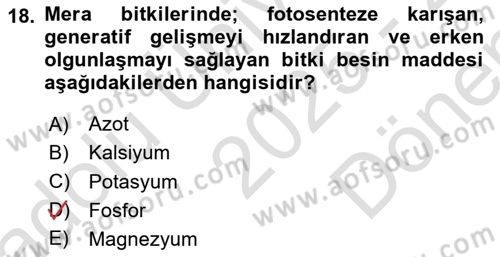 Tarla Bitkileri Dersi 2025 - 2026 Yılı (Final) Dönem Sonu Sınav Soruları 18. Soru