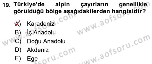 Tarla Bitkileri Dersi 2025 - 2026 Yılı (Final) Dönem Sonu Sınav Soruları 19. Soru