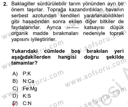 Tarla Bitkileri Dersi 2025 - 2026 Yılı (Final) Dönem Sonu Sınav Soruları 2. Soru