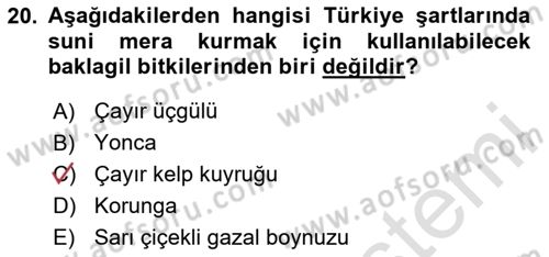 Tarla Bitkileri Dersi 2025 - 2026 Yılı (Final) Dönem Sonu Sınav Soruları 20. Soru