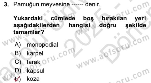 Tarla Bitkileri Dersi 2025 - 2026 Yılı (Final) Dönem Sonu Sınav Soruları 3. Soru