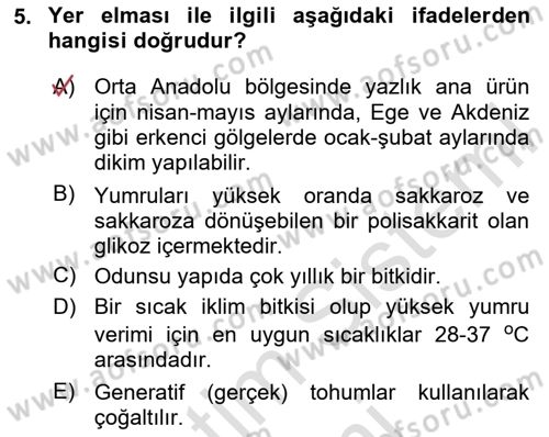 Tarla Bitkileri Dersi 2025 - 2026 Yılı (Final) Dönem Sonu Sınav Soruları 5. Soru