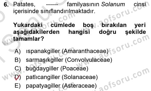 Tarla Bitkileri Dersi 2025 - 2026 Yılı (Final) Dönem Sonu Sınav Soruları 6. Soru