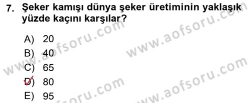 Tarla Bitkileri Dersi 2025 - 2026 Yılı (Final) Dönem Sonu Sınav Soruları 7. Soru