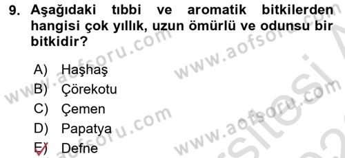 Tarla Bitkileri Dersi 2025 - 2026 Yılı (Final) Dönem Sonu Sınav Soruları 9. Soru
