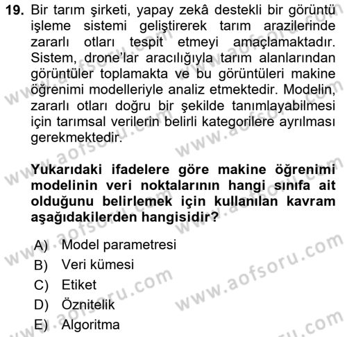 Tarım 4.0 Dersi 2024 - 2025 Yılı Yaz Okulu Sınav Soruları 19. Soru