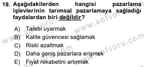 Tarımsal Pazarlama Dersi 2024 - 2025 Yılı (Vize) Ara Sınav Soruları 19. Soru