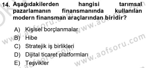 Tarımsal Pazarlama Dersi 2024 - 2025 Yılı Yaz Okulu Sınav Soruları 14. Soru