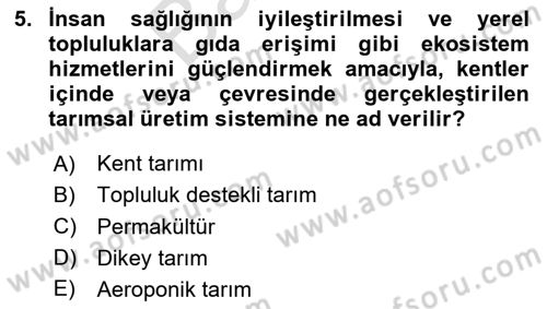 Tarımsal Pazarlama Dersi 2025 - 2026 Yılı (Final) Dönem Sonu Sınav Soruları 5. Soru