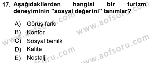 Turist Davranışı Dersi 2020 - 2021 Yılı Yaz Okulu Sınav Soruları 17. Soru