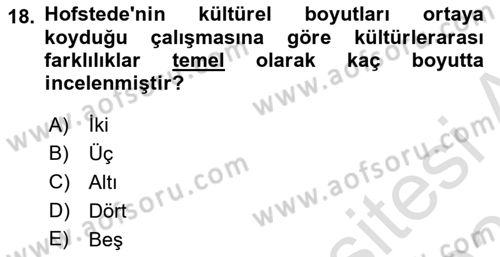 Turist Davranışı Dersi 2020 - 2021 Yılı Yaz Okulu Sınav Soruları 18. Soru