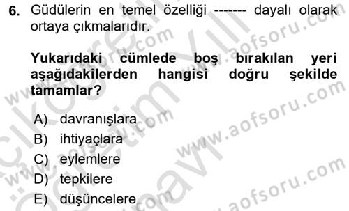 Turist Davranışı Dersi 2020 - 2021 Yılı Yaz Okulu Sınav Soruları 6. Soru
