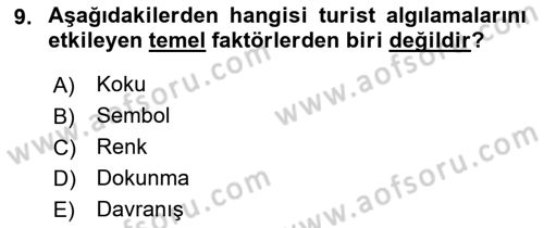 Turist Davranışı Dersi 2021 - 2022 Yılı (Vize) Ara Sınav Soruları 9. Soru