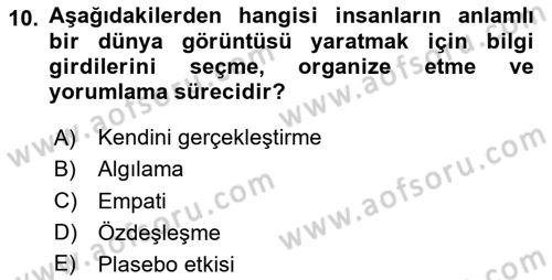 Turist Davranışı Dersi 2023 - 2024 Yılı (Vize) Ara Sınav Soruları 10. Soru