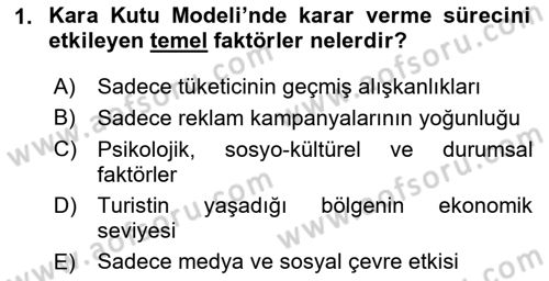 Turist Davranışı Dersi 2024 - 2025 Yılı (Vize) Ara Sınav Soruları 1. Soru