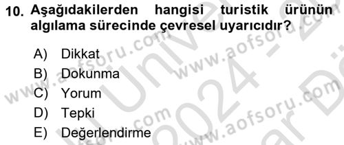 Turist Davranışı Dersi 2024 - 2025 Yılı (Vize) Ara Sınav Soruları 10. Soru