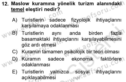Turist Davranışı Dersi 2024 - 2025 Yılı (Vize) Ara Sınav Soruları 12. Soru