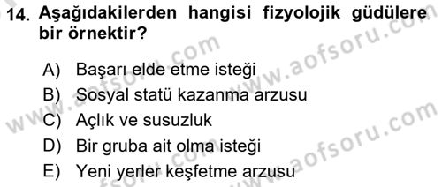 Turist Davranışı Dersi 2024 - 2025 Yılı (Vize) Ara Sınav Soruları 14. Soru
