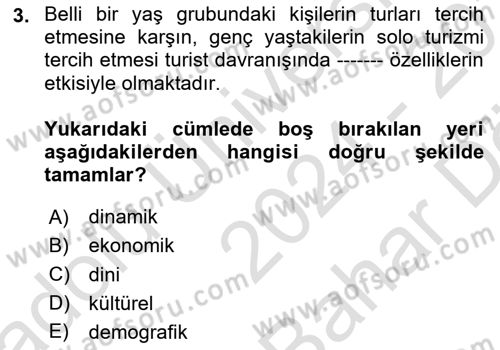 Turist Davranışı Dersi 2024 - 2025 Yılı (Vize) Ara Sınav Soruları 3. Soru