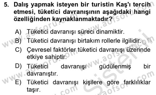 Turist Davranışı Dersi 2024 - 2025 Yılı (Vize) Ara Sınav Soruları 5. Soru
