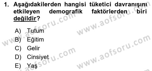 Turist Davranışı Dersi 2024 - 2025 Yılı (Final) Dönem Sonu Sınav Soruları 1. Soru