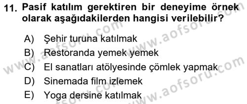 Turist Davranışı Dersi 2024 - 2025 Yılı (Final) Dönem Sonu Sınav Soruları 11. Soru