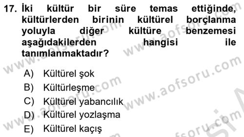 Turist Davranışı Dersi 2024 - 2025 Yılı (Final) Dönem Sonu Sınav Soruları 17. Soru