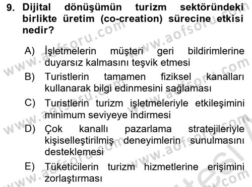 Turist Davranışı Dersi 2024 - 2025 Yılı (Final) Dönem Sonu Sınav Soruları 9. Soru